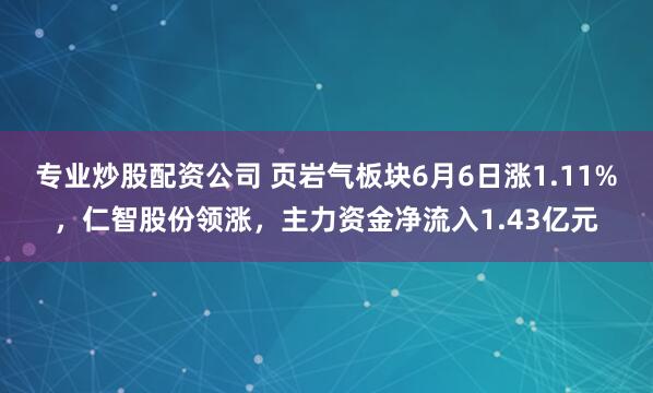 专业炒股配资公司 页岩气板块6月6日涨1.11%，仁智股份领涨，主力资金净流入1.43亿元